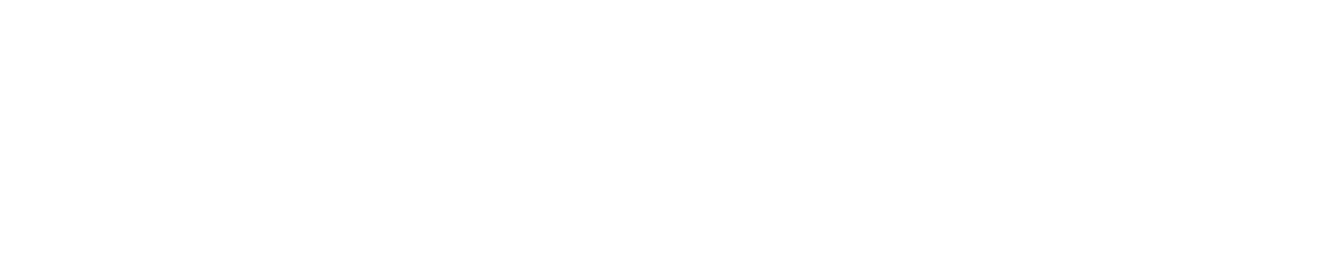 CarChief